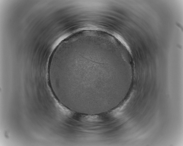 X0000096420845200801241315