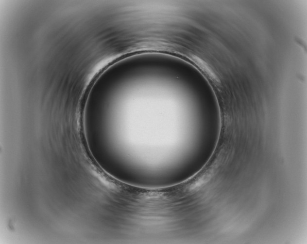 X0000096420846200801241315