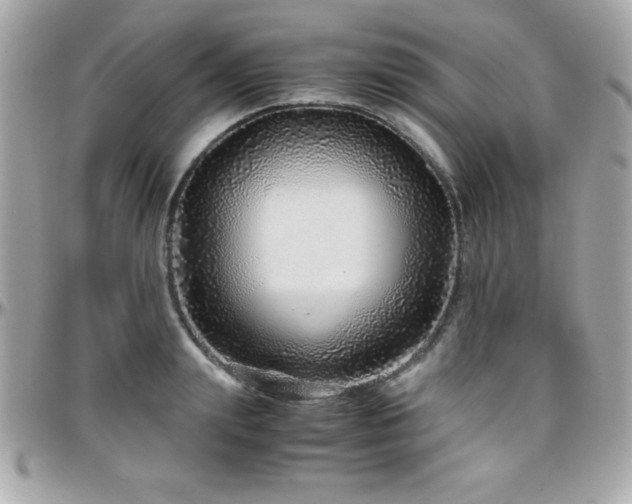 X0000096420847200801241315