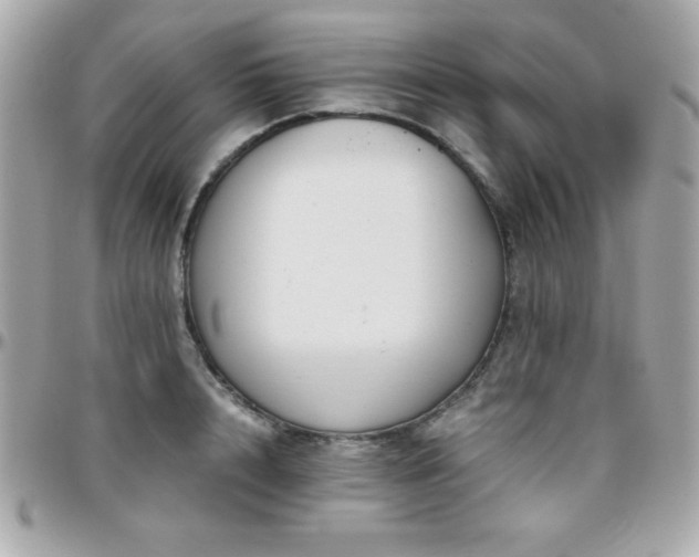 X0000096420848200801241315