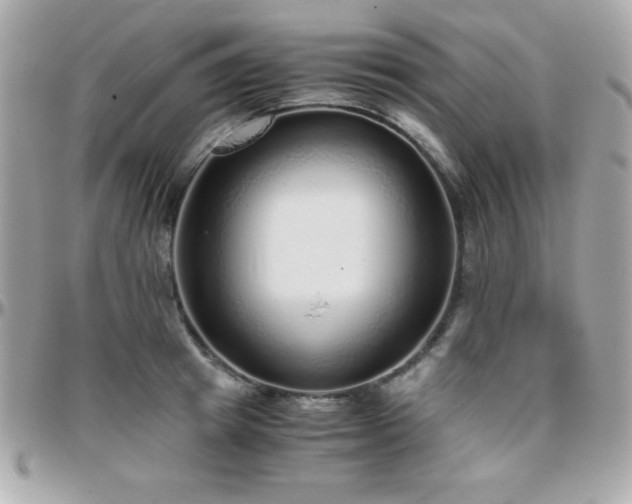 X0000096420849200801241315