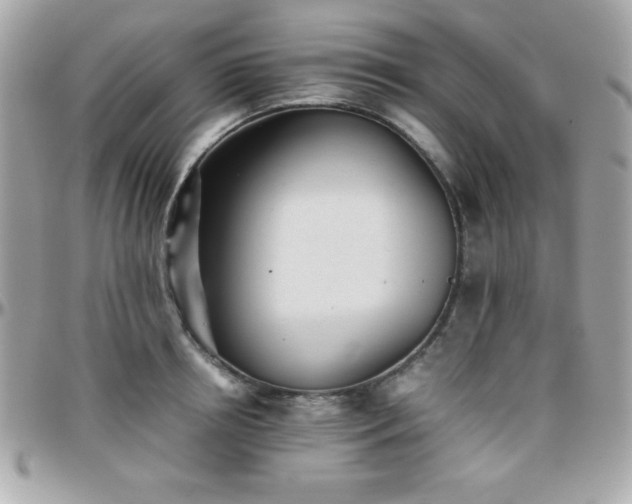 X0000096420850200801241315