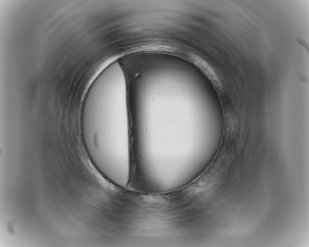 X0000096420852200801241315