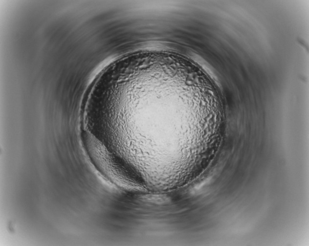 X0000096420853200801241315