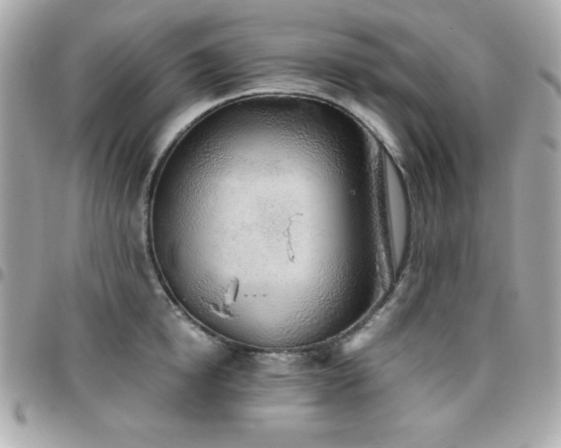 X0000096420854200801241315