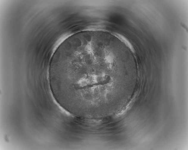 X0000096420855200801241315