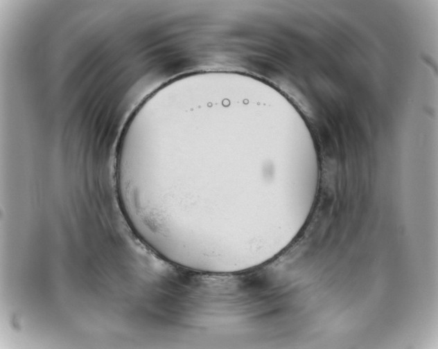 X0000096420856200801241315