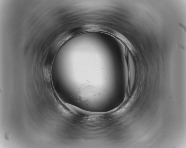 X0000096420857200801241315