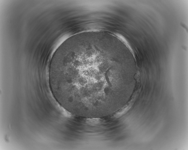 X0000096420859200801241315