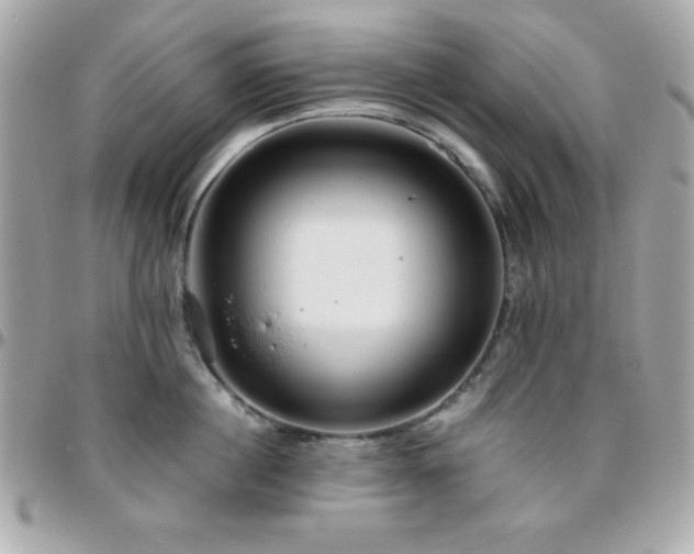 X0000096420860200801241315