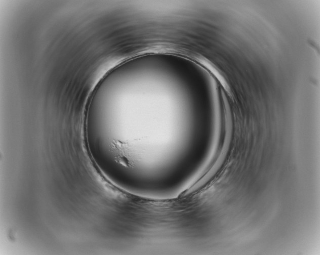 X0000096420861200801241315