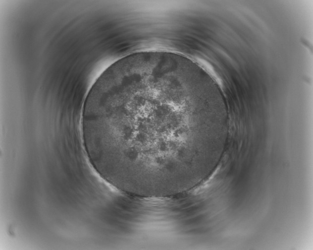 X0000096420863200801241315