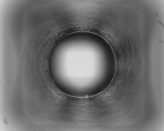 X0000096420865200801241315