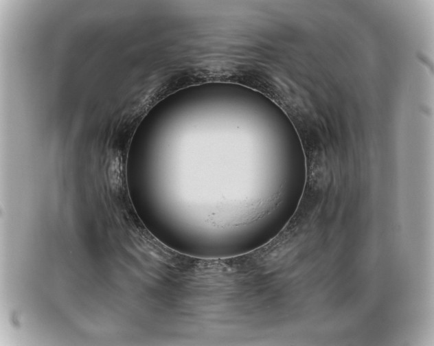 X0000096420866200801241315