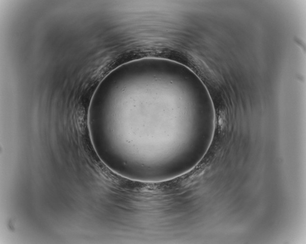 X0000096420867200801241315