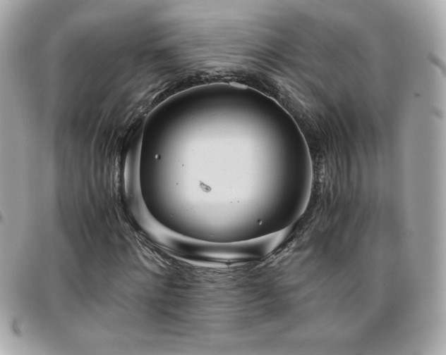 X0000096420868200801241315