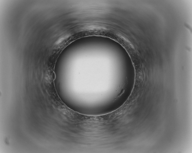 X0000096420869200801241315