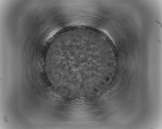 X0000096420871200801241315
