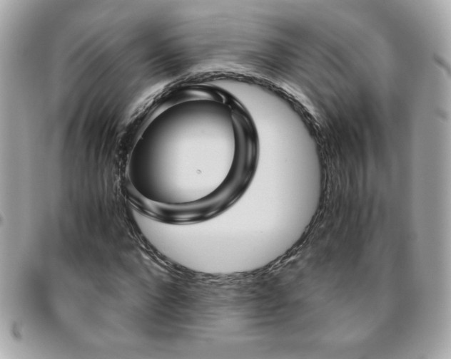 X0000096420872200801241315