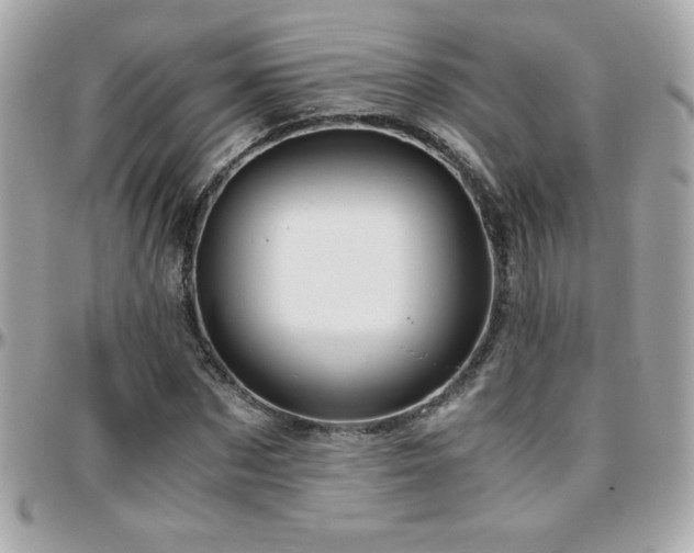 X0000096420873200801241315