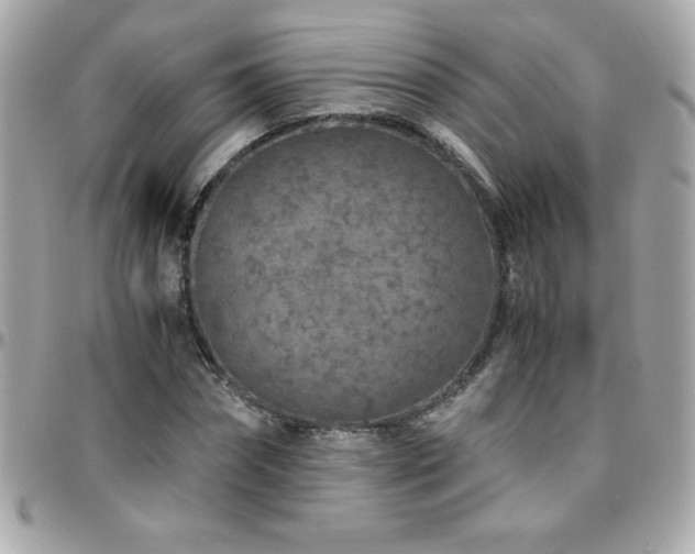 X0000096420874200801241315