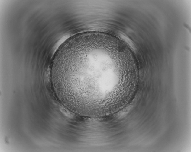 X0000096420875200801241315