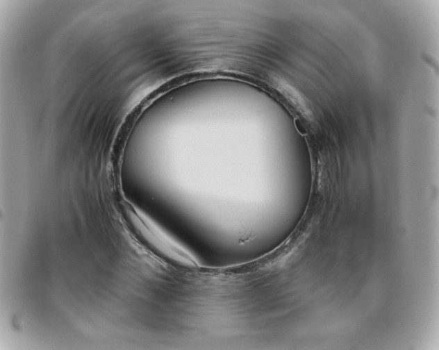 X0000096420876200801241315