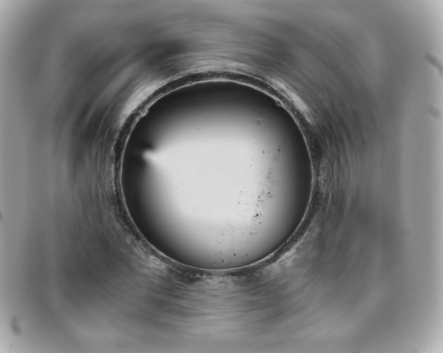 X0000096420877200801241315