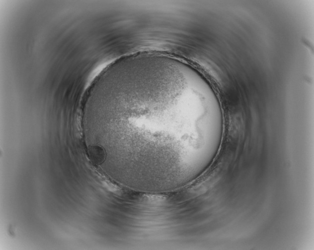 X0000096420878200801241315