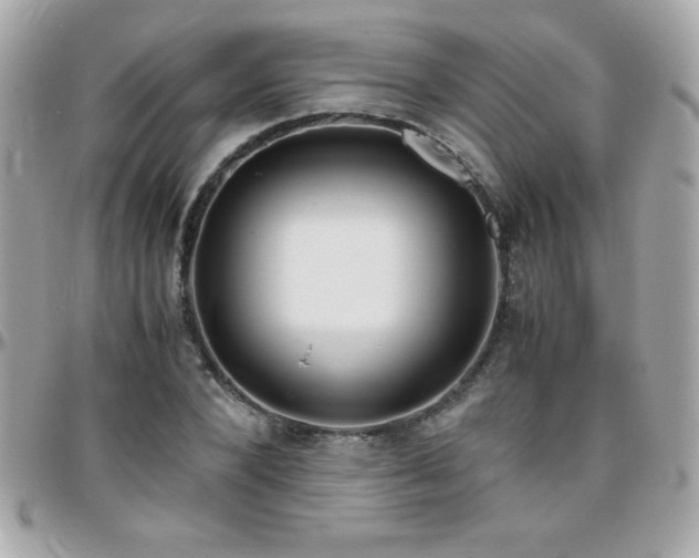 X0000096420880200801241315