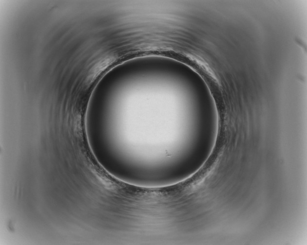 X0000096420881200801241315