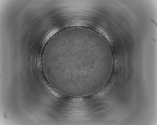 X0000096420882200801241315