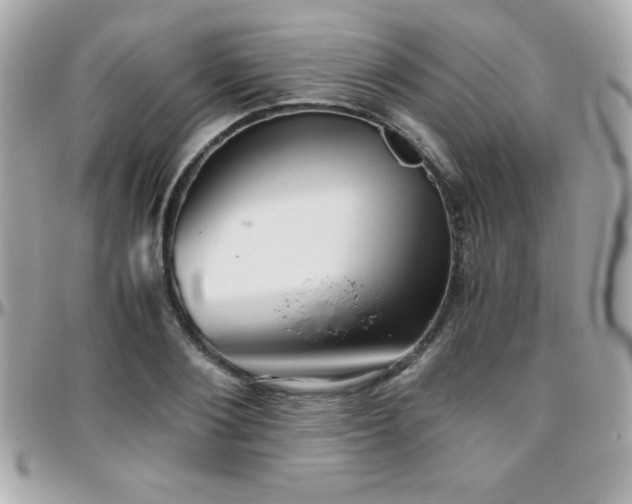X0000096420884200801241314