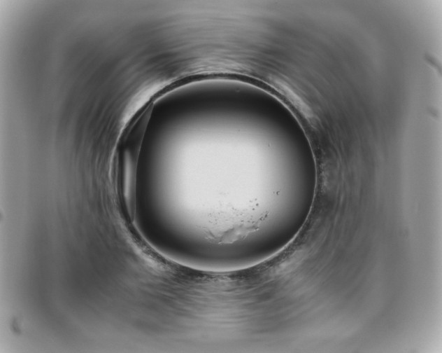 X0000096420885200801241314