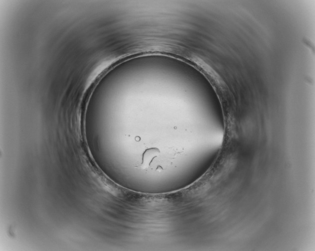 X0000096420886200801241314