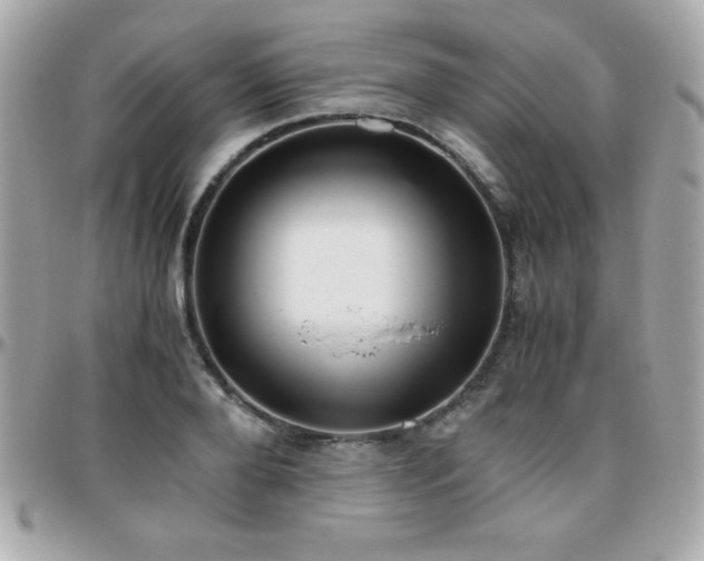 X0000096420888200801241314
