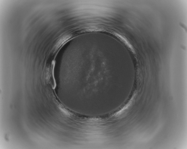 X0000096420889200801241314