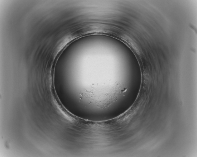 X0000096420890200801241314