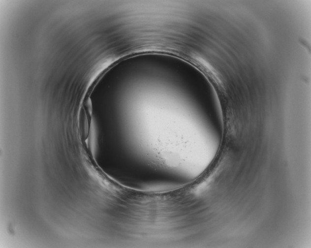X0000096420892200801241314