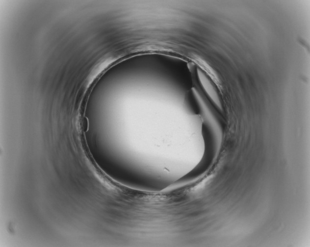 X0000096420893200801241314
