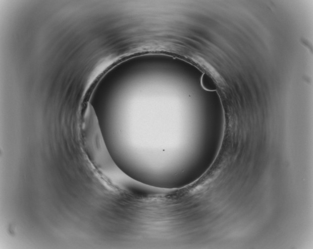 X0000096420894200801241314