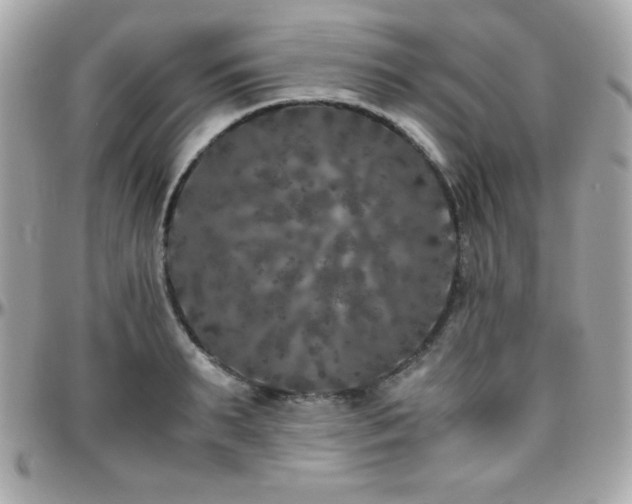 X0000096420895200801241314