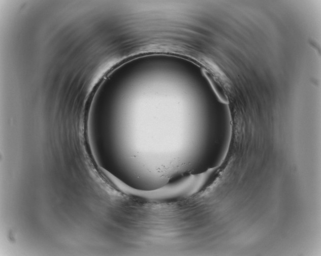 X0000096420896200801241314