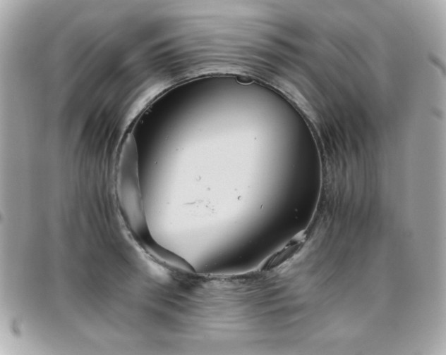X0000096420898200801241314