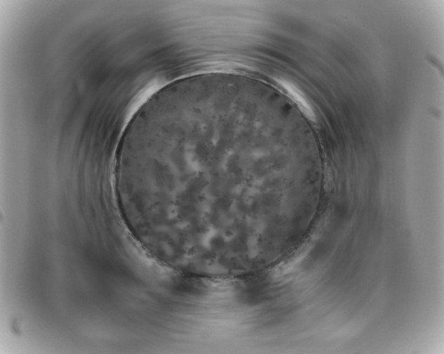 X0000096420899200801241314