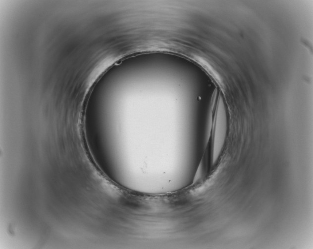 X0000096420901200801241314