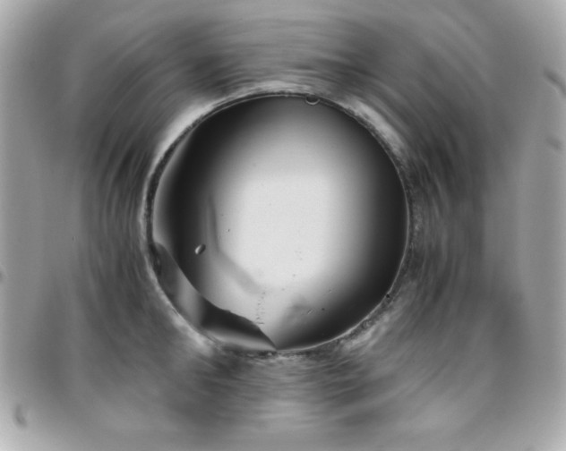 X0000096420902200801241314
