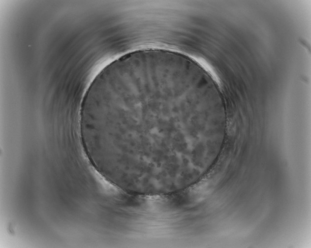 X0000096420903200801241314
