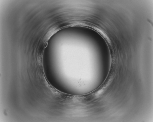 X0000096420905200801241314