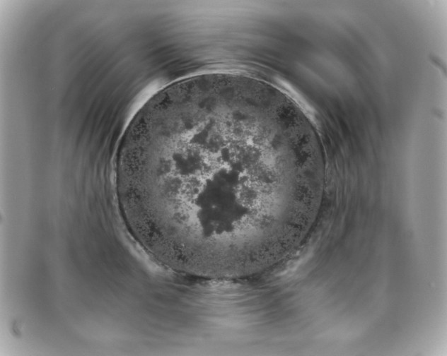 X0000096420907200801241314